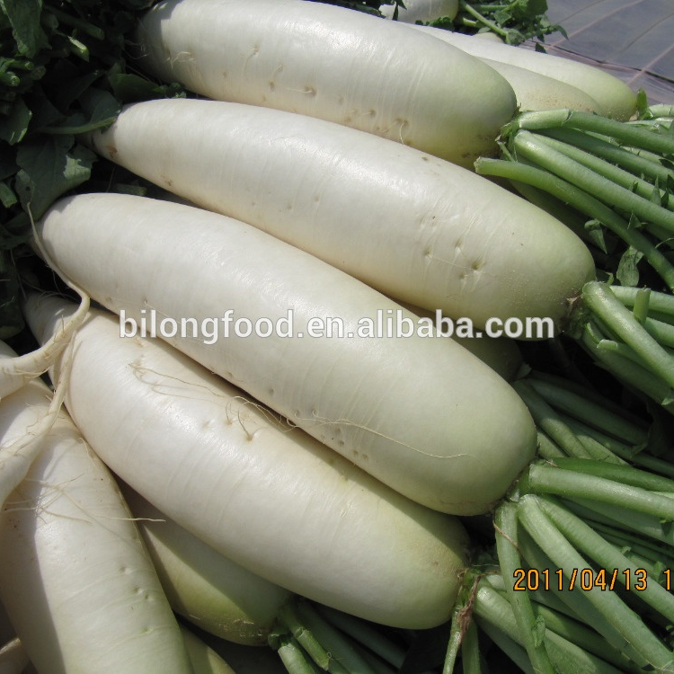 2019 новый урожай Свежий Белый radish