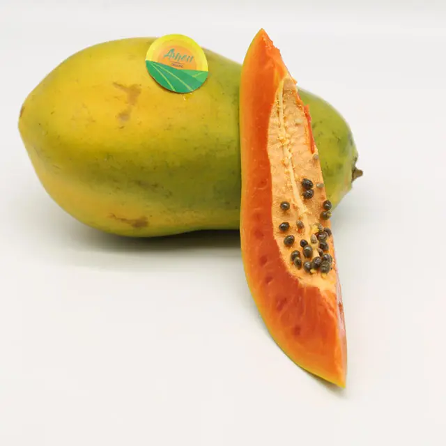 HIGH QUALITY PAPAYA FROM VIET NAM