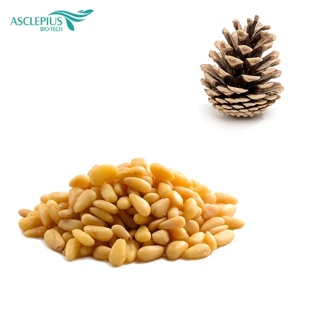 Asclepius factory supply korean pine nut/siberian pine nut/pine nut