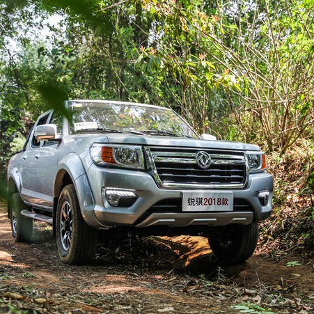 Dongfeng 2018 богатая модель дизельного двигателя 2.5L Топ продажа 2WD пикап высокое качество Китай Сделано для экспорта