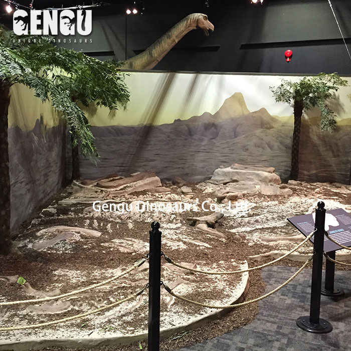 Dinosaur fossil bones for sale buried dinosaur