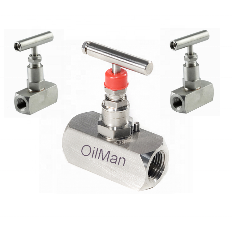 2 inch Female & Male 2 Way Manifold Needle Valve SS 316