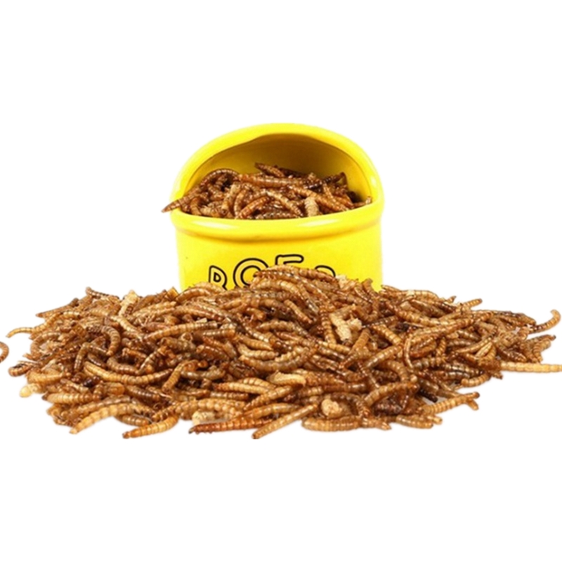 Съедобные насекомые Сушеные Mealworms для продуктов питания человека с высоким содержанием белка