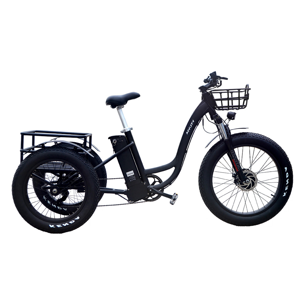 Best selling triciclo elettrico 48V 750W fat tire electrico triciclo