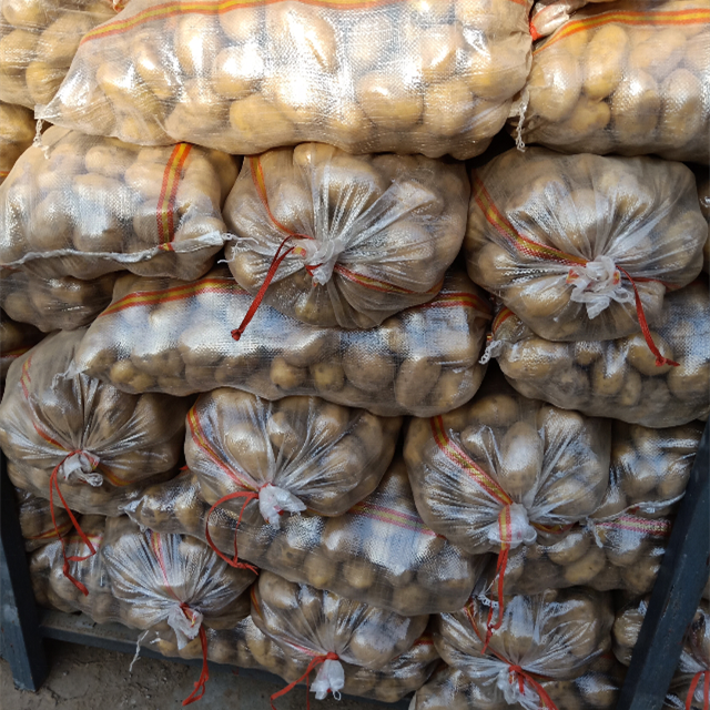 Оптовая продажа, новый урожай свежего картофеля голландии (китайский продукт) 2019