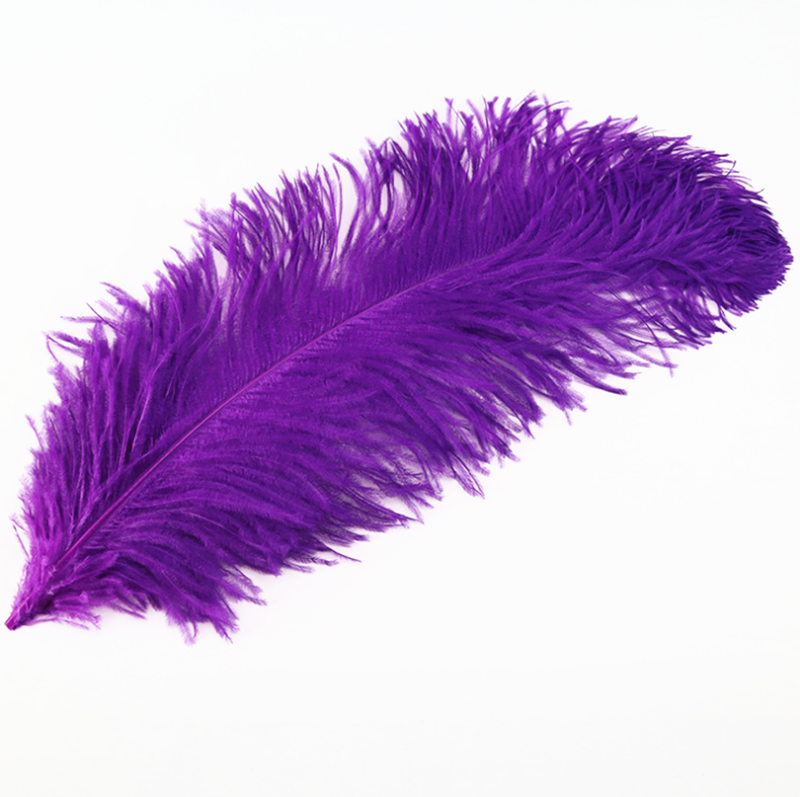wholesale Ostrich Feather 100pcs/lot 55-60cm Wedding Decorations Plume Performance