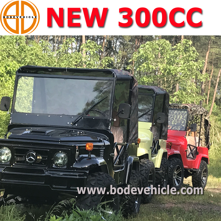 Газовый Багги 250cc Spider Utv