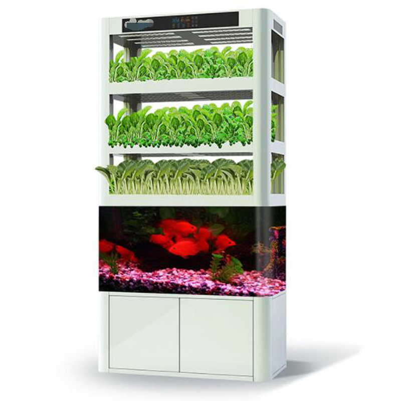 Новое поступление aquaponics теплицы полная система выращивания для дома