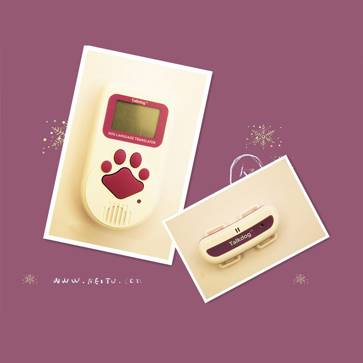Talkdog языковой переводчик