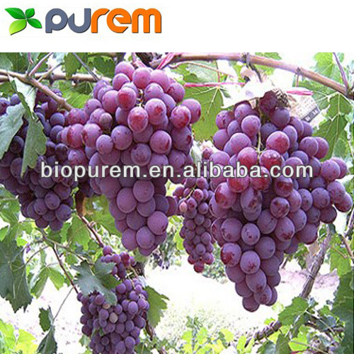 100% Natural Grape Seed Powder
