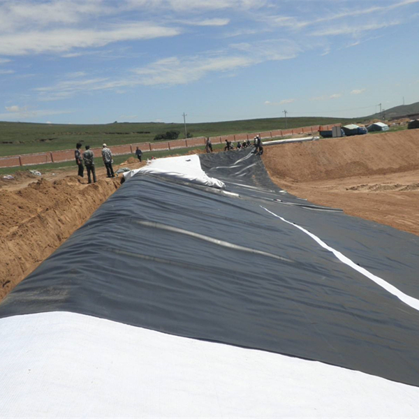 Геомембранный подклад HDPE цена m2
