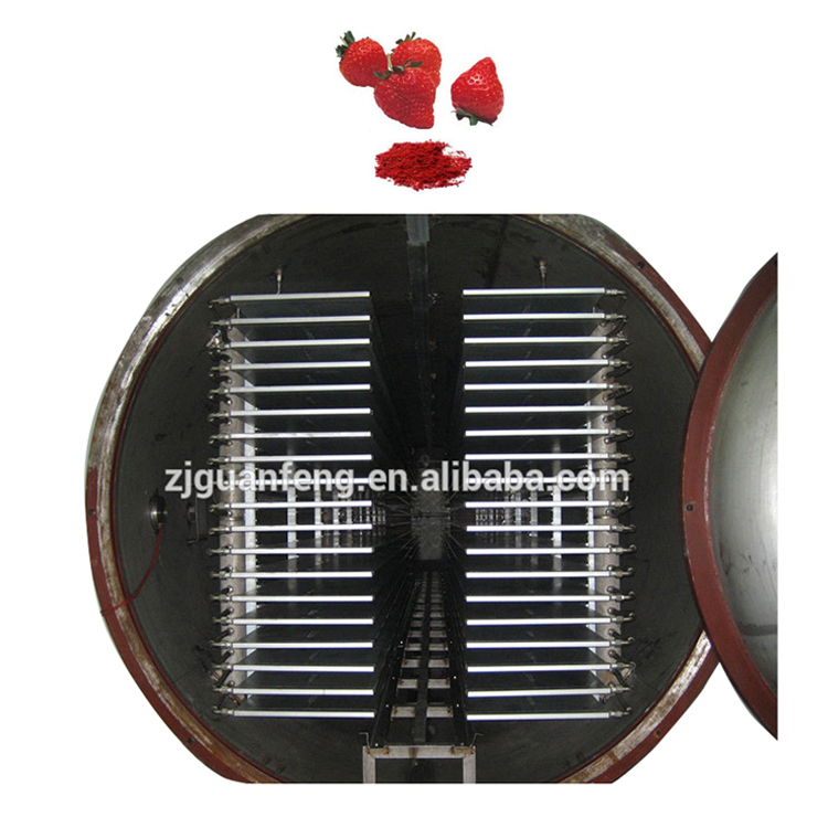 Insect bloodworms lyophilization machine food vacuum freeze dryer