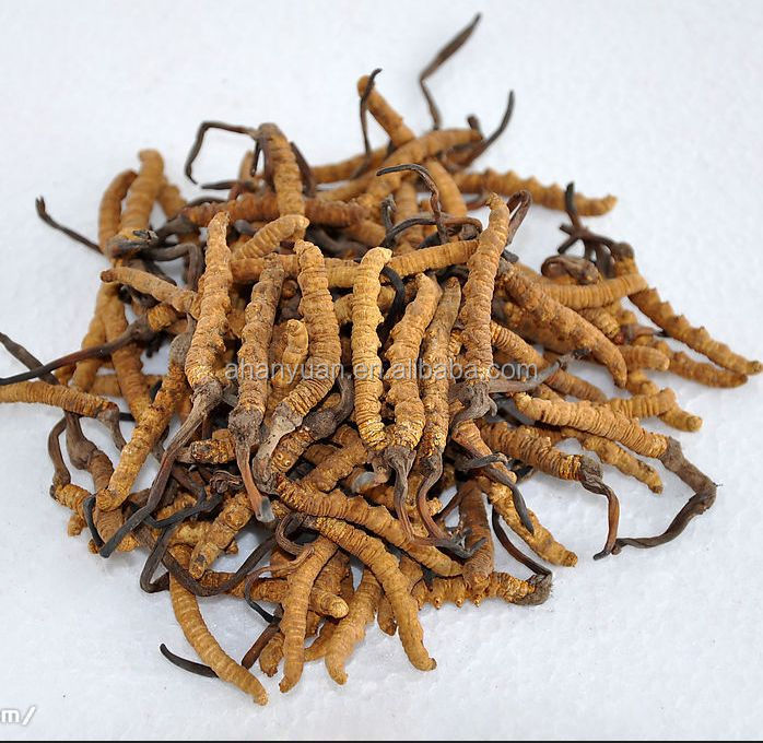 Натуральный Экстракт Кордицепса sinensis 30%-50% полисахариды/экстракт Кордицепса порошок
