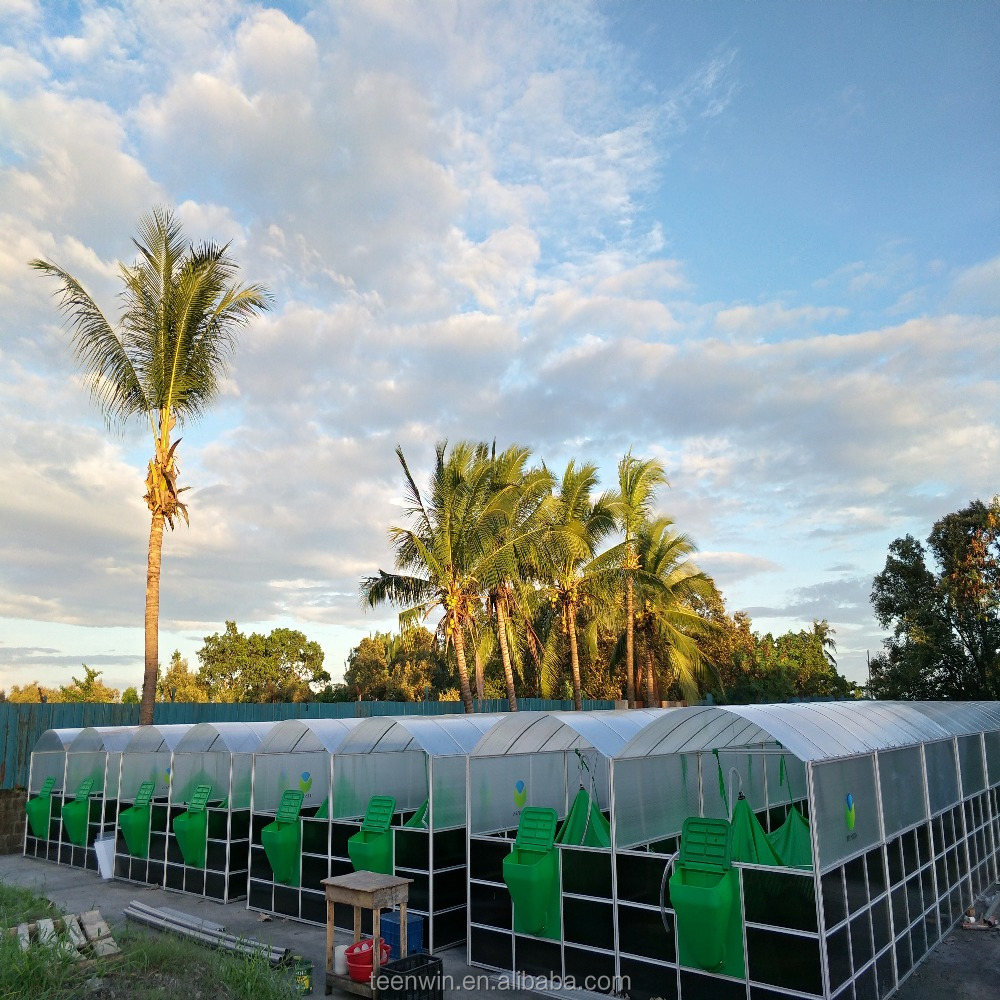 Teenwin Low Cost Portable Assembly Biogas Plant to Generate Electricity