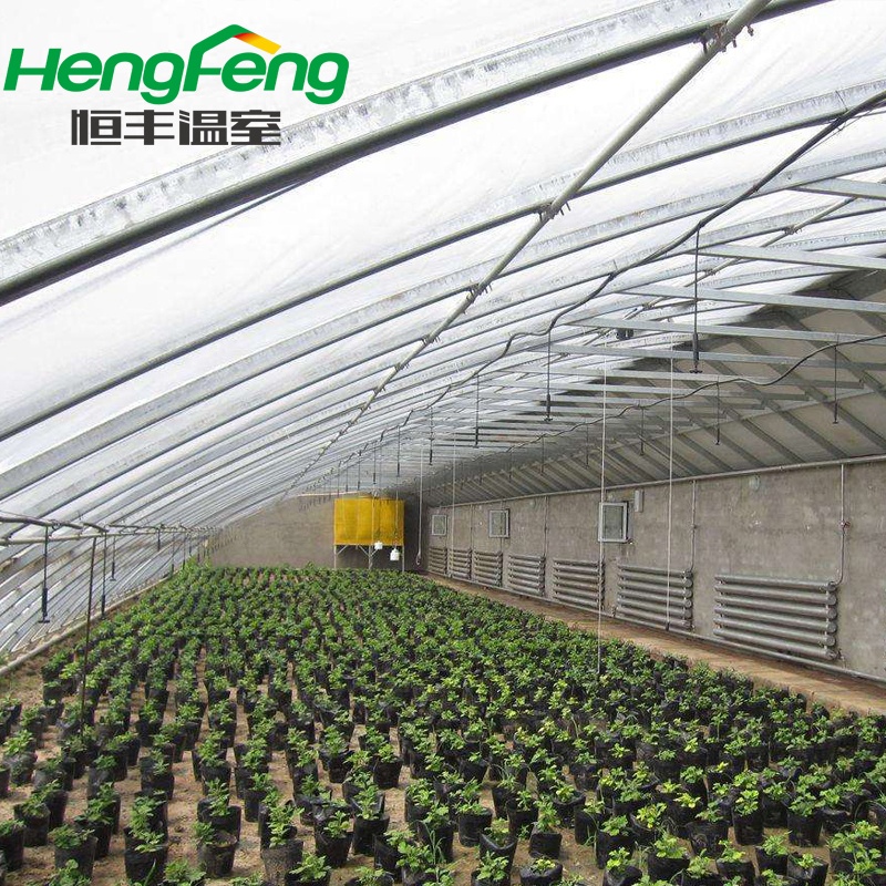 Solar Greenhouse polyethylene agricultural supply greenhouse polycarbonate hydroponic channel flood tray opticlimate