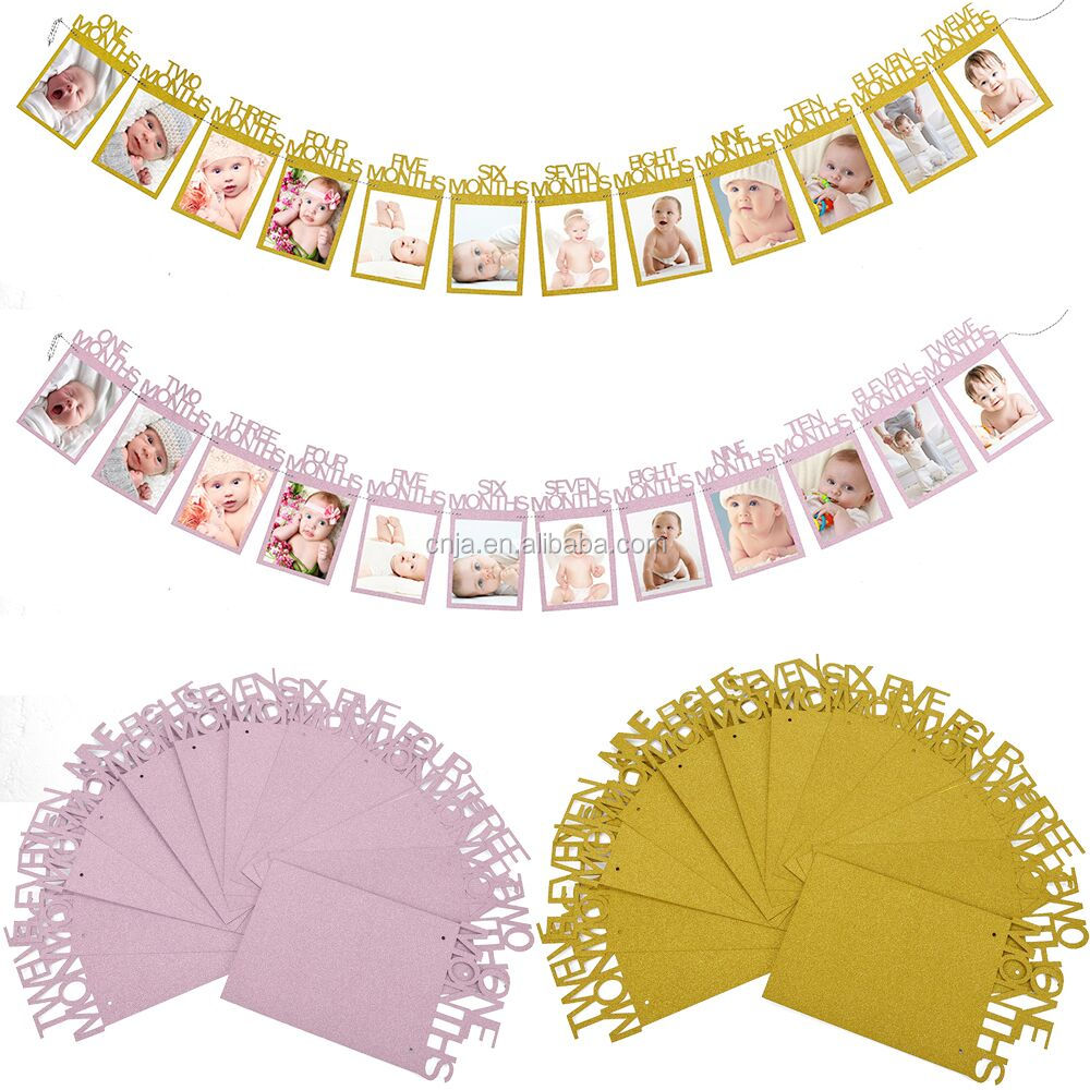 Custom Baby Picture Banner First year Birthday Party12 Month Photo Picture Banner Kit