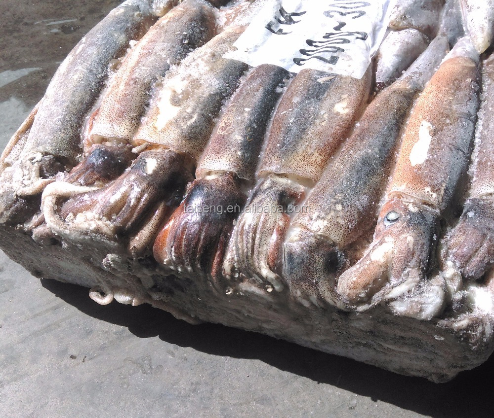 Высокое качество морепродуктов illex круглый продажа замороженных кальмаров