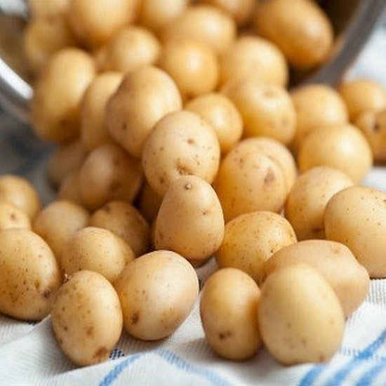 Holland Fresh Patatoes from China