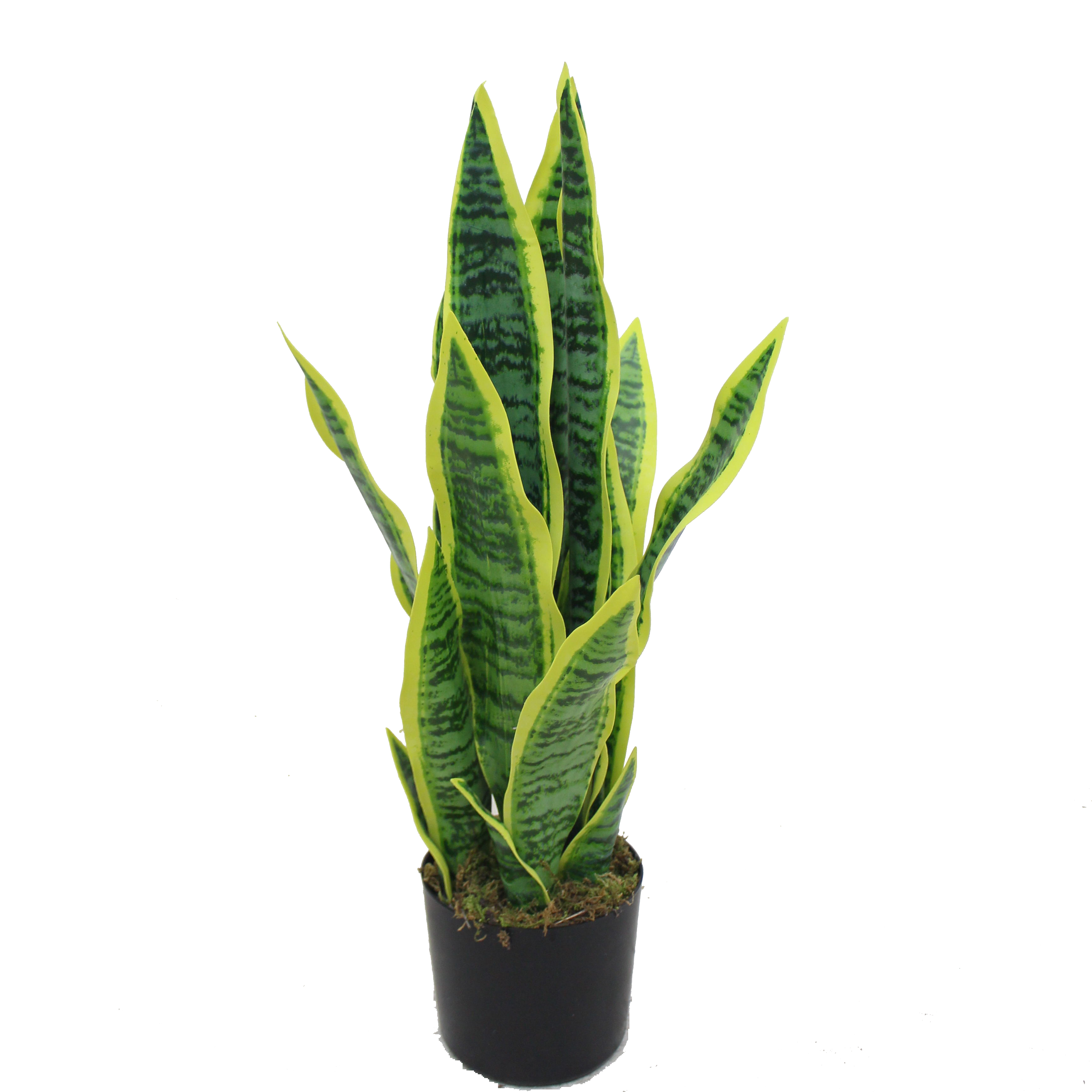 Новый хороший дешевый желтый вид Реалистичный искусственный sansevieria Искусственный завод