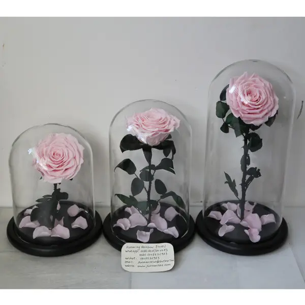 Online Shop Preserved Flower Glycerin For Mother'day Shipped All The Year