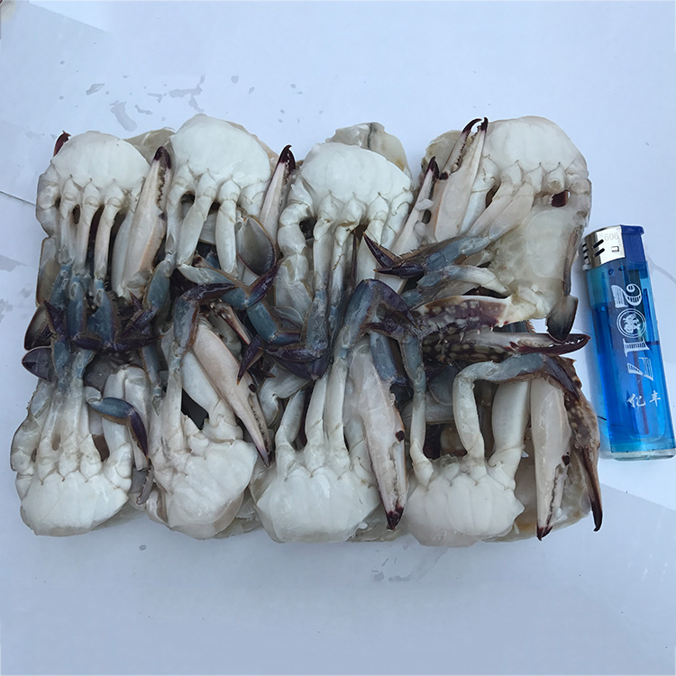 High Quality Best Price Frozen Half Cut Blue Swimming Crab Portunus Pelagicus Buyer Supplier Fresh Crabs Wholesale Iqf