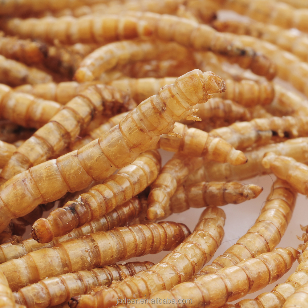 Корм для домашних животных завод птицы ЕДА сушеный Mealworm