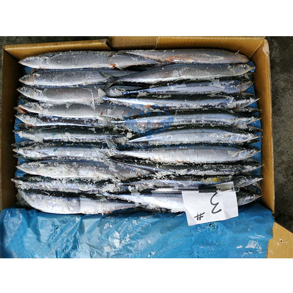 Замороженные морепродукты Pacific saury высокого качества по оптовой цене