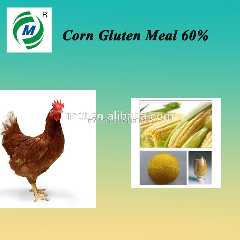 Fat powder for animal feed additive corn gluten meal protein 60% powder