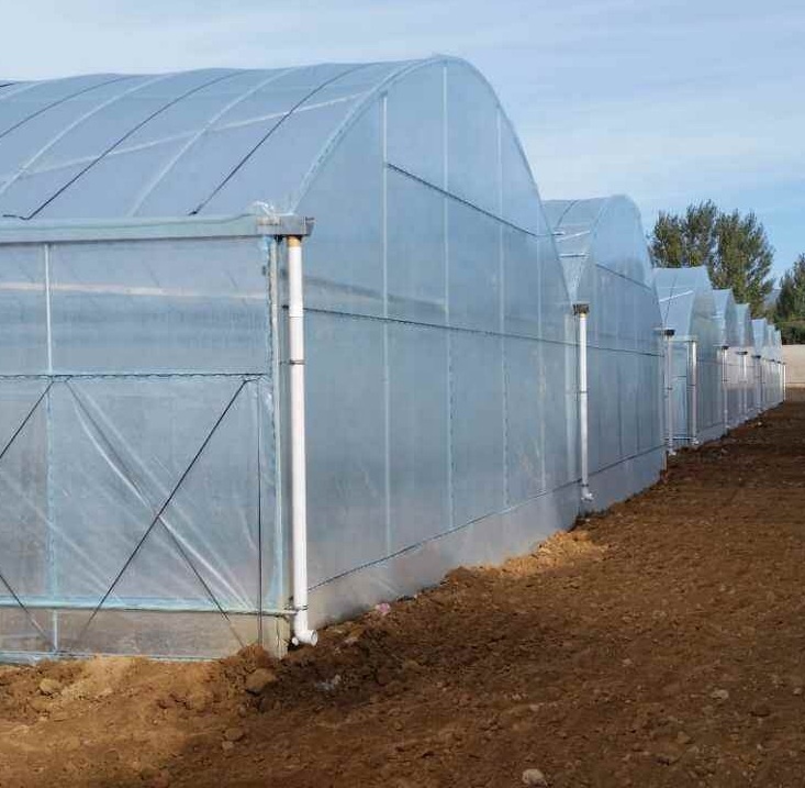 200 микрон ldpe УФ прозрачная сельскохозяйственная пластиковая пленка, тепличная прозрачная полиэтиленовая пленка, покрывающий лист 10 м ширина
