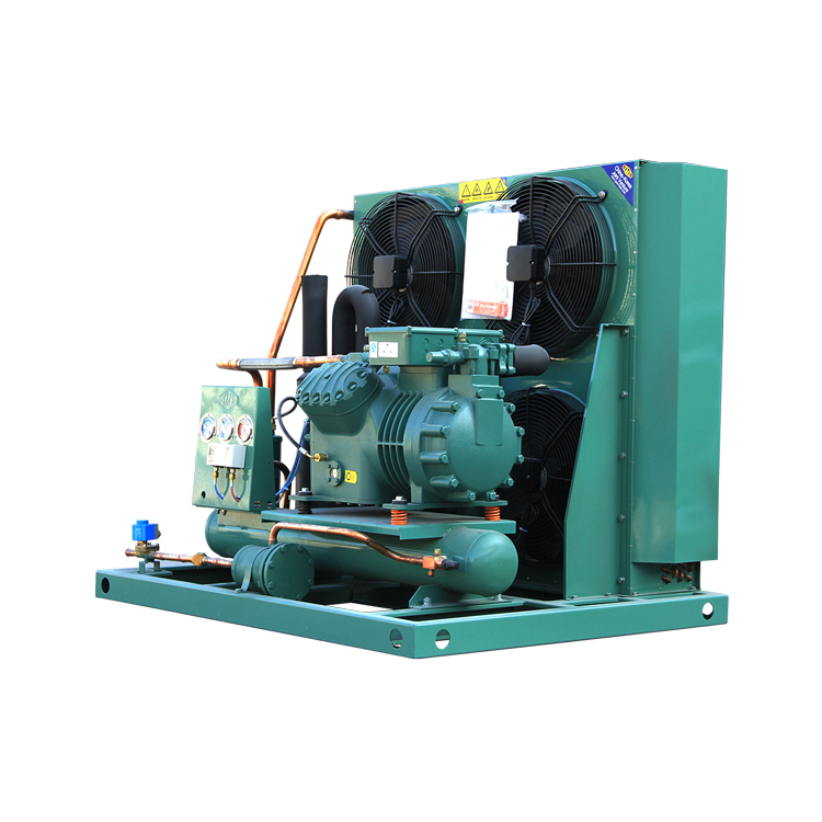 hot sales bitzer series Air cooled compressor condensing units for cold room