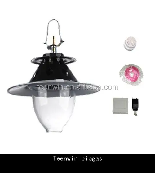 Biogas lamp