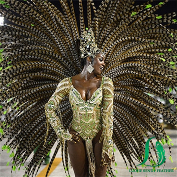 manufacture supplier cheap 20-25 inches natural reeves pheasant feather for carnival decoration