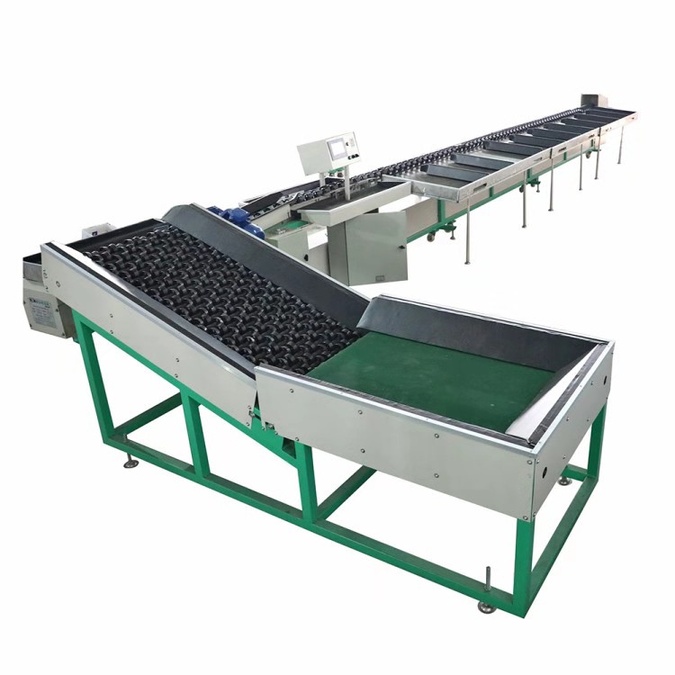 CE Approved   ISO9001 Apple Grading Equipment/Bell pepper Grading Machine