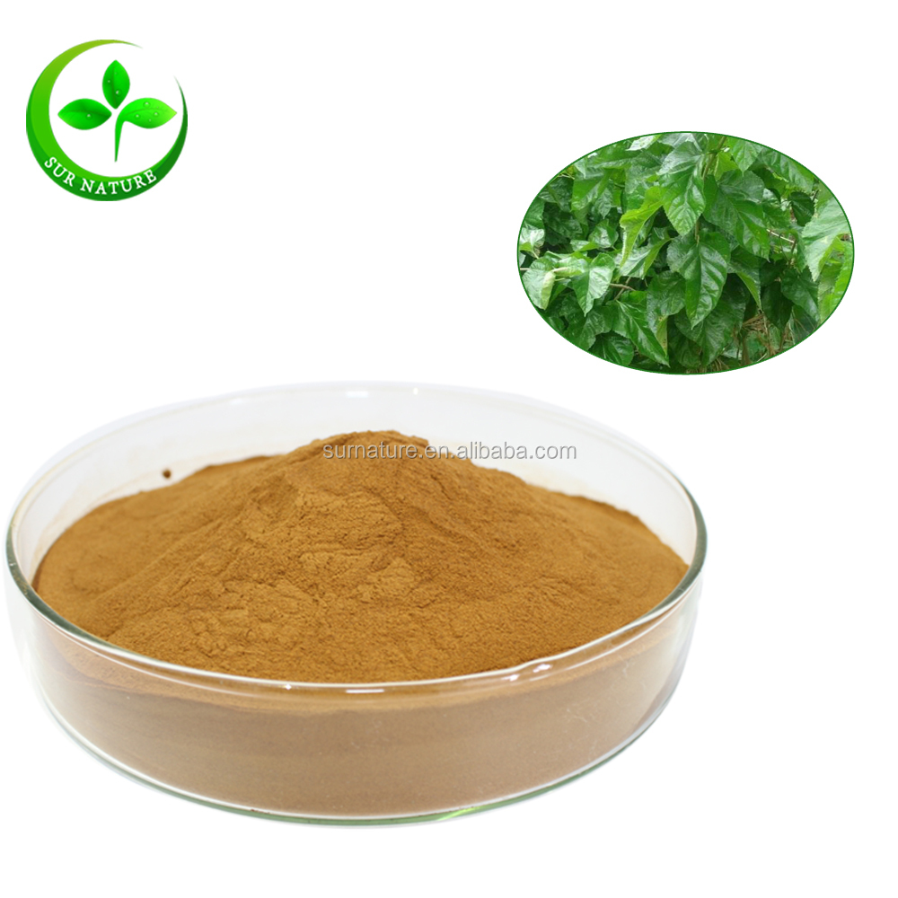 Natural Mulberry Leaf Extract 1-Deoxynojirimycin diabetes products