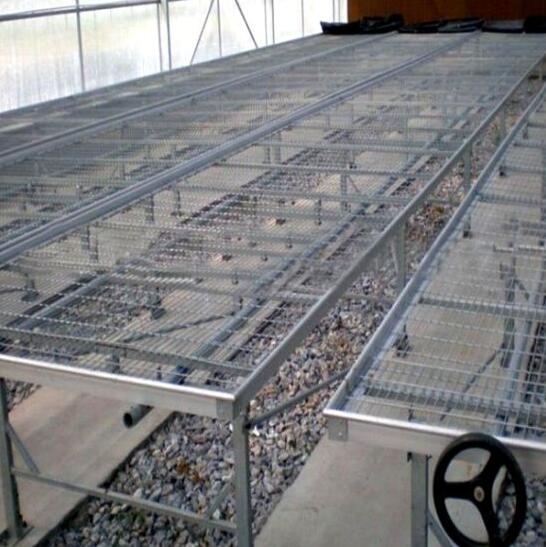 Seedbed Wire Mesh, ПВХ покрытием сварной проволоки для теплицы
