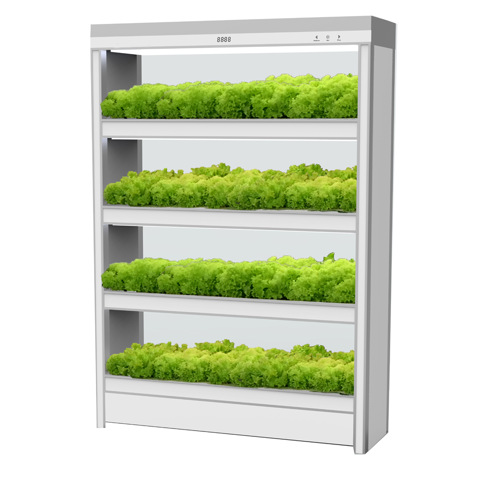 4 слоя вертикальные нфт гидропоники системы для Aquaponics/парников/крытый/украшения сада
