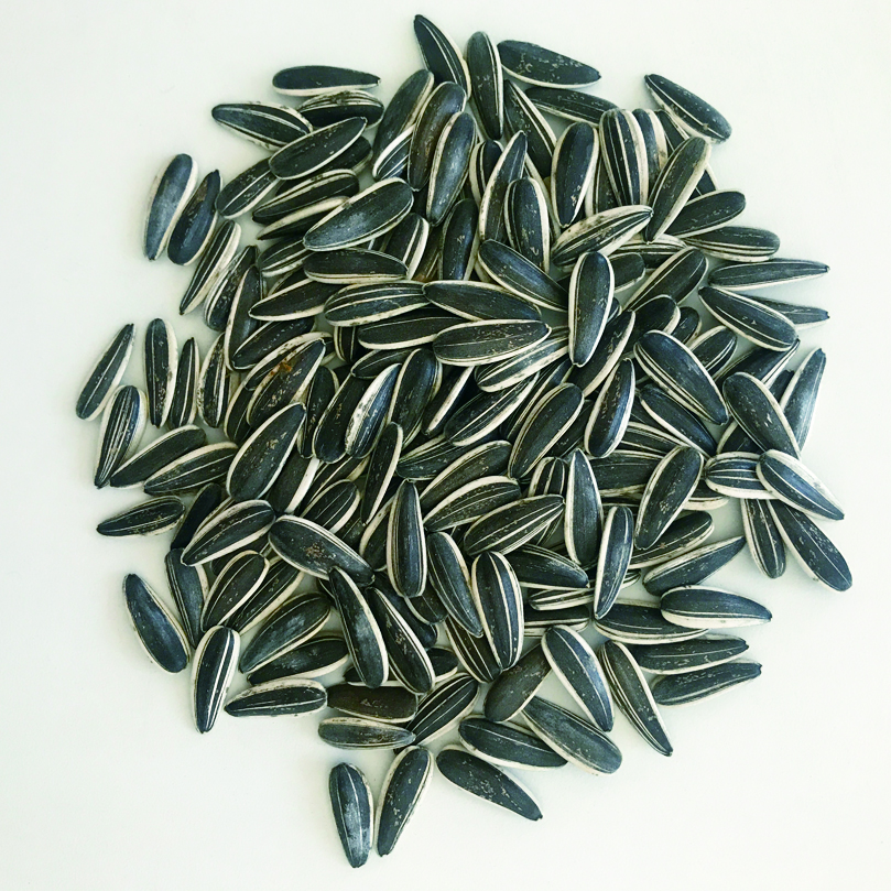 601 new crop 2020 inner mongolia sunflower seeds