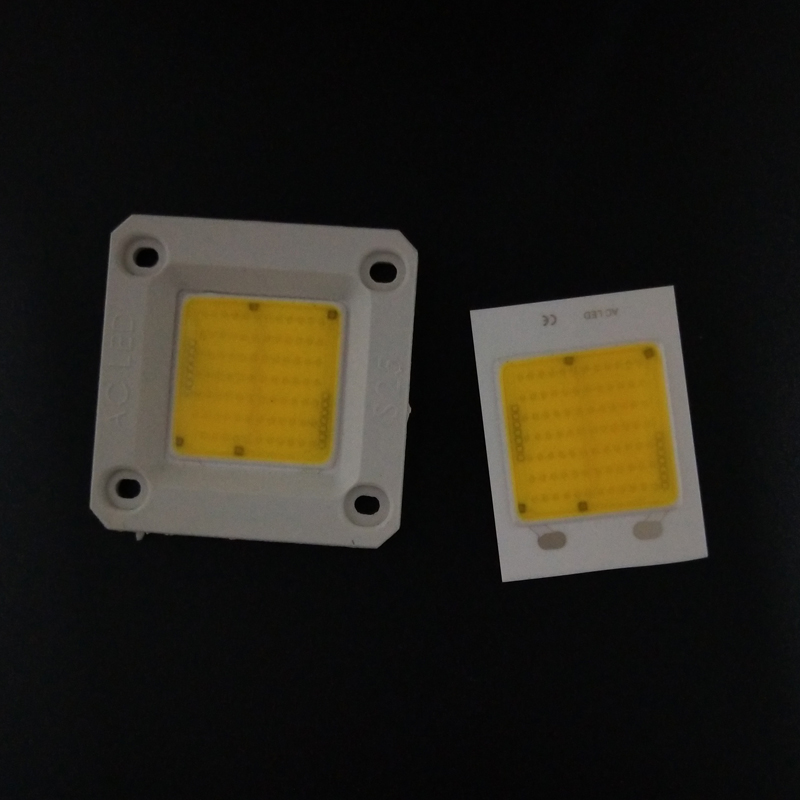 Китай завод водителя AC Cob Led 30W