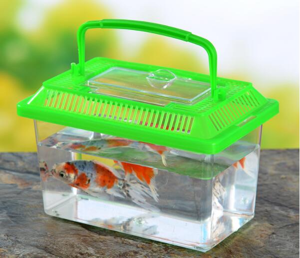 Color large plastic aquarium small fish tank