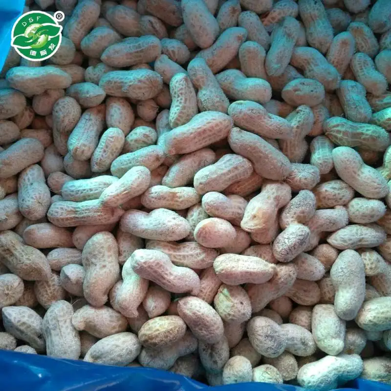 Высококачественный сервис, вкусный, оптовая продажа, органический сырого замороженного арахиса в скорлупе