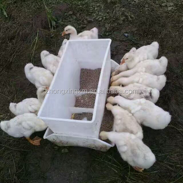 Пластиковые кормушки для птицы