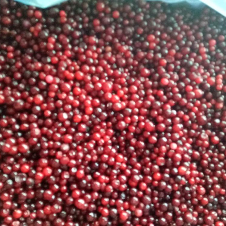 Замороженный стиль, свежие китайские ягоды lingonberry