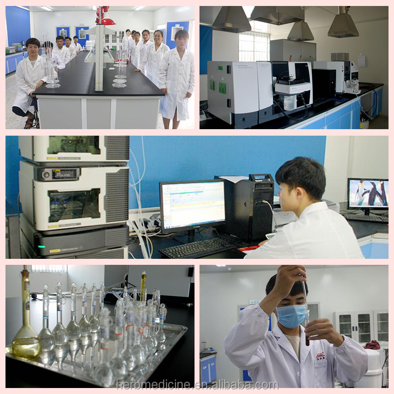 Food grade Premium quality raw natural china bulk zhuling dried Umbellate Pore Fungus slices