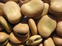 ВКУСНЯТИНА сушеные BroadBean