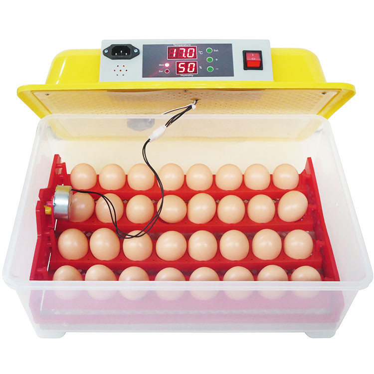 CE Approved automatic egg hatchery WQ-32
