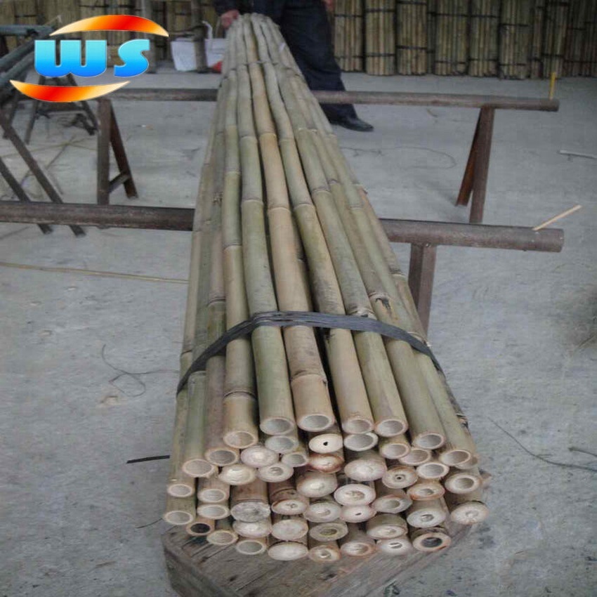Бамбуковый тростник/стойки для поддержки растений на продажу