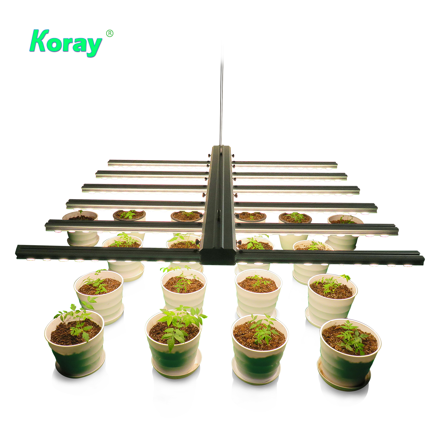 Светодиодная сельскохозяйственная лампа полного спектра Koray 480 Вт 800 Вт, фактическая мощность 200-480 Вт