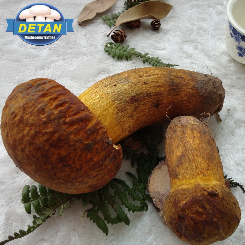 Свежий гриб Detan Wild Boletus, цена
