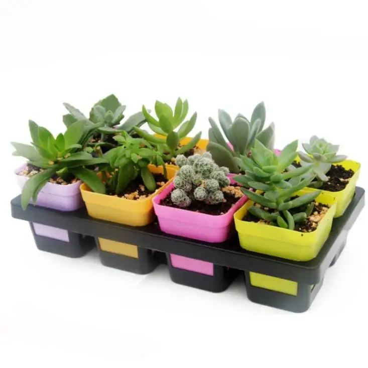 Wholesale rectangle flower pot 8 holes plastic potted flower flat edge round water tray orchid fleshy green flower pot tray