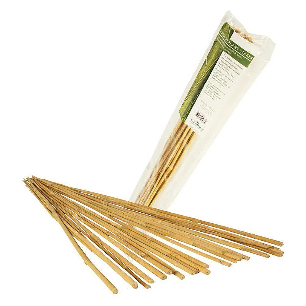 Dry Natural Straight Wholesale Garden Bamboo Stakes